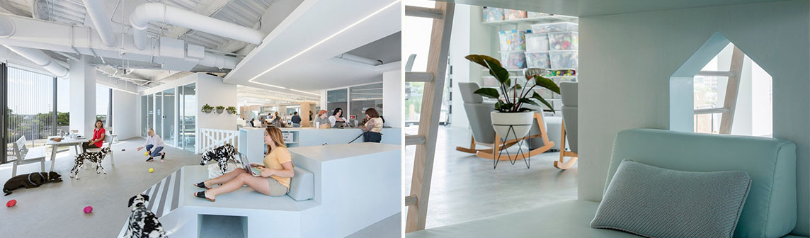 DB电竞(DBGame)官方网站