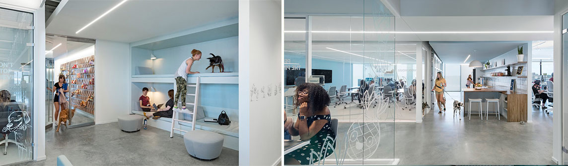 DB电竞(DBGame)官方网站