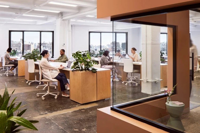 DB电竞(DBGame)官方网站