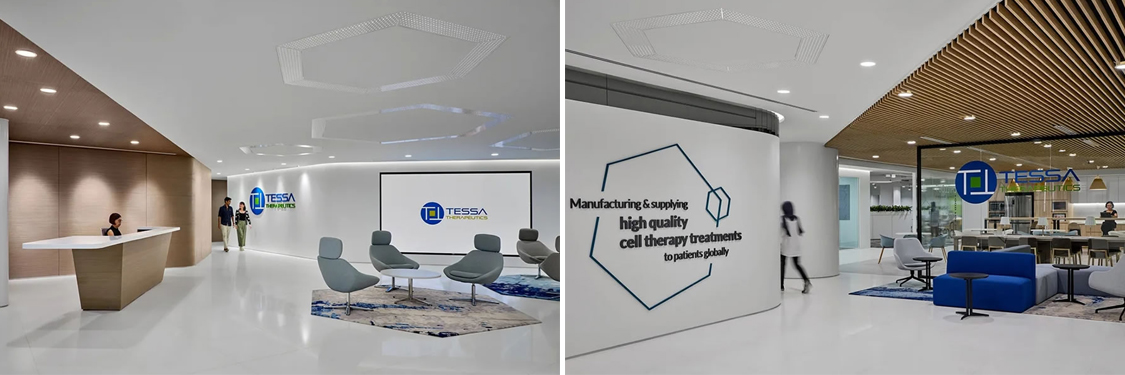 广州db电竞官网入口装饰设计公司图册