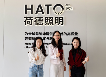 灯光照明行业办公空间焕新就来db电竞官网入口装饰